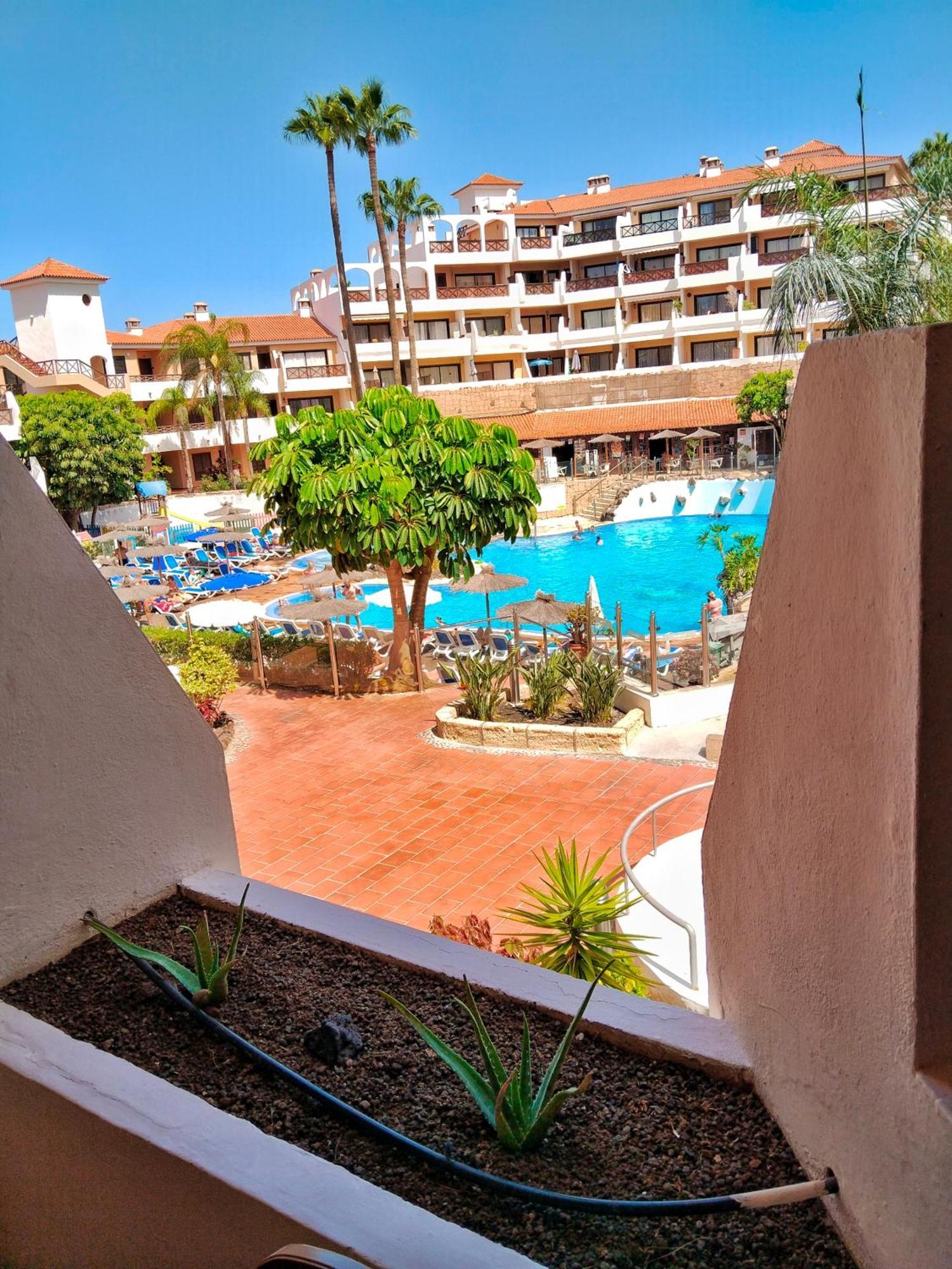 Maximar Apartment 8 Bed Places, Heated Swimmingpool Arona (Tenerife) Exterior foto